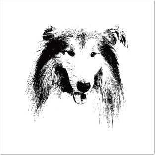 Collie Face Design - A Collie Christmas Gift Posters and Art